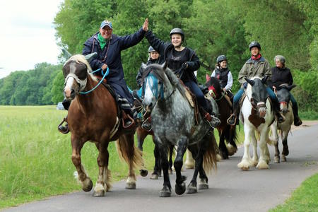 Reiten auch für Anfänger